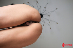 377 - Lovely Pussy for Your Pleasure